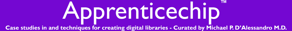 Apprenticechip(tm) : Case studies in digital libraries